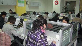 新易太和 北京新易太和教育咨詢(xún)有限公司的專(zhuān)業(yè)教育信息咨詢(xún)服務(wù)解析